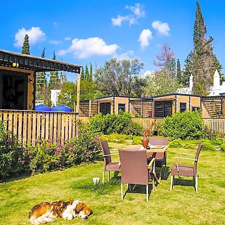 Bitez Tiny House & 5*